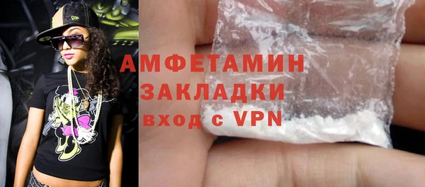 стаф Бородино