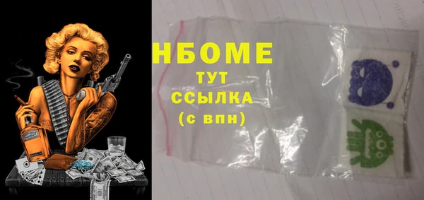 2c-b Инсар