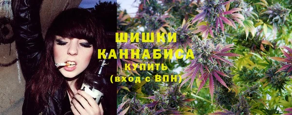 2c-b Инсар