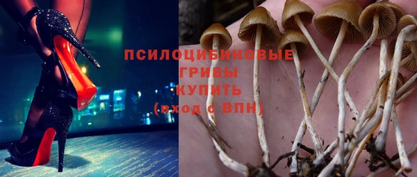 2c-b Инсар